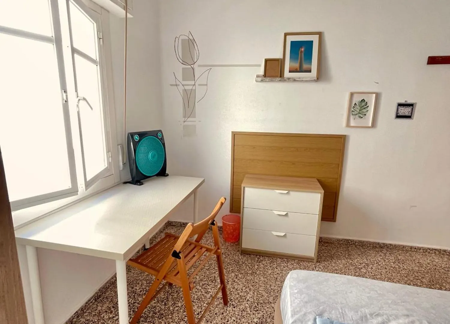 Rosa De Los Vientos: Estudios Cadiz